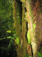 IMG_1827.JPG