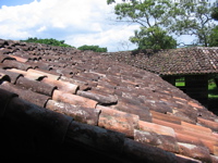 IMG_1732.JPG