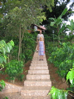 IMG_1899.JPG